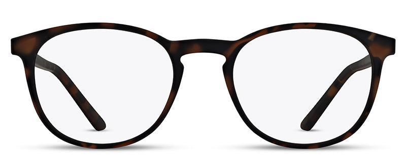 Model 2                 | Tort